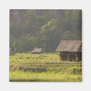 Asien, Thailand, Mae Hong Son, Riesenhütten in de Magnet