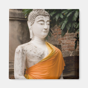 Asien, Thailand, Siam, Buddha in Ayutthaya Magnet