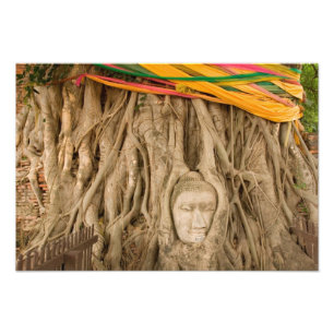 Asien, Thailand, Siam, Buddha in Baumspuren bei Fotodruck