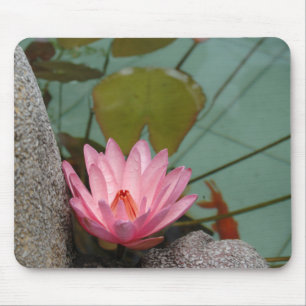 Asien, Vietnam. Seerose in einem Teich eines Tempe Mousepad