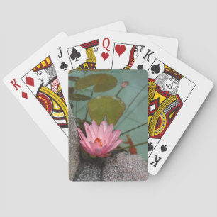 Asien, Vietnam. Seerose in einem Tempelteich Spielkarten