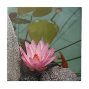 Asien, Vietnam. Wasserlilie in einem Tempelteich Fliese