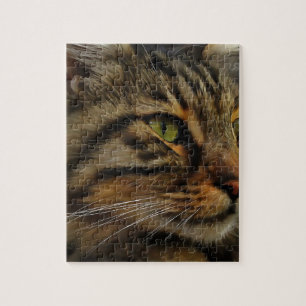 Aslan Die lange gehärtete Tablette der Katze