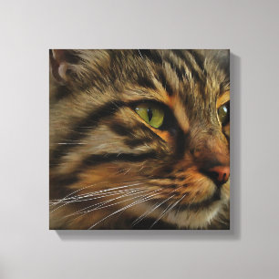 Aslan Die lange gehärtete Tablette der Katze Leinwanddruck