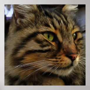Aslan Die lange gehärtete Tablette der Katze Poster