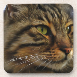 Aslan Die lange gehärtete Tablette der Katze Untersetzer