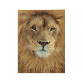 Aslan Holzposter