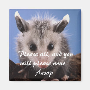 Äsop-Zitat u. entzückender Opossum-Magnet Magnet