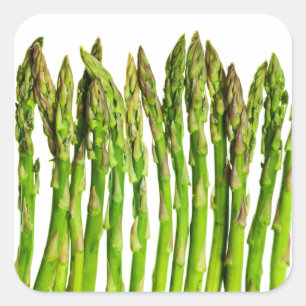 Asparagus auf Weiß - Kundenspezifische Veggie-Hint Quadratischer Aufkleber