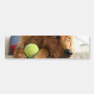 ASPCA-Hund Autoaufkleber