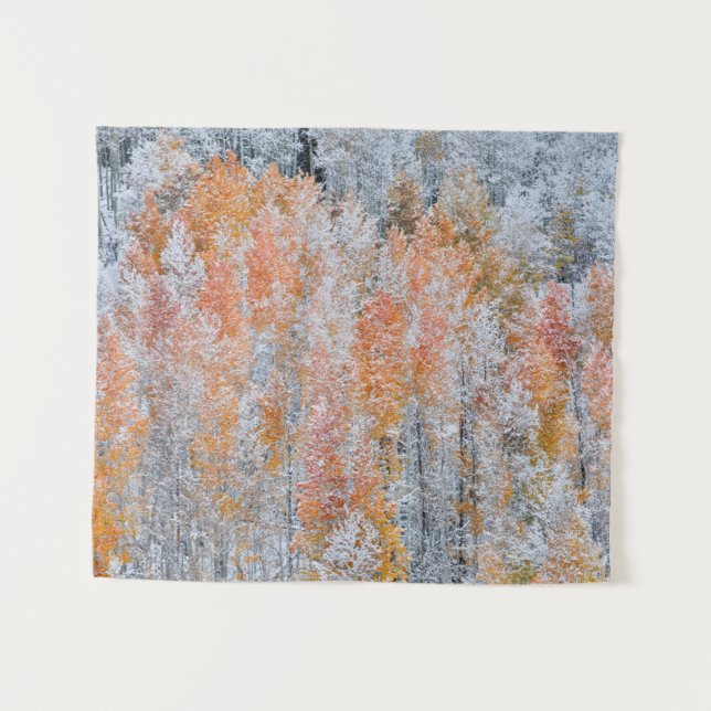 Aspekte und Schnee | Rocky Mountains, Colorado Wandteppich (Vorderseite (Horizontal))