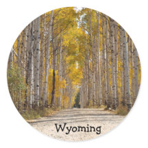 Aspen Alley im Herbst