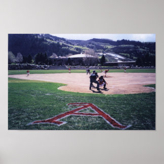 Aspen Baseball Poster