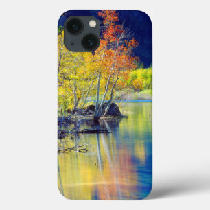 Aspen Baum im Herbst reflektiert Grant Lake title_seo2