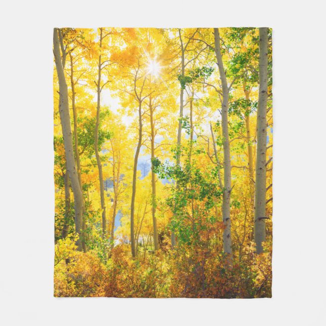 Aspen Bäume im Fall| Sierra Nevada Mountains, CA Fleecedecke (Vorderseite)