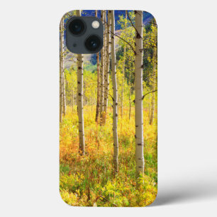 Aspen Bäume im Herbst in den Rockies Case-Mate iPhone Hülle