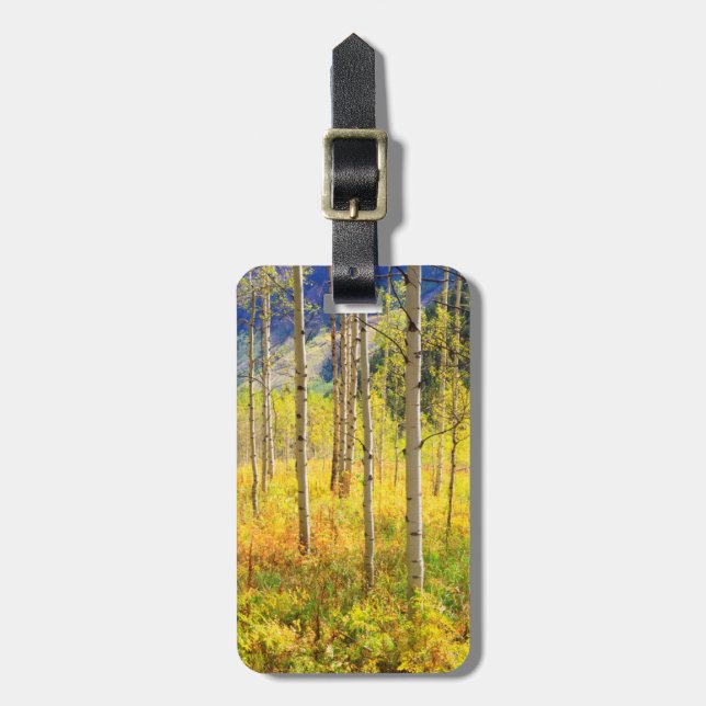 Aspen Bäume im Herbst in den Rockies Gepäckanhänger (Vorderseite vertikal)