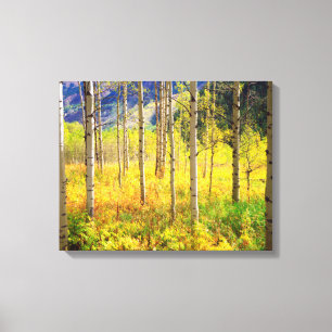 Aspen Bäume im Herbst in den Rockies Leinwanddruck