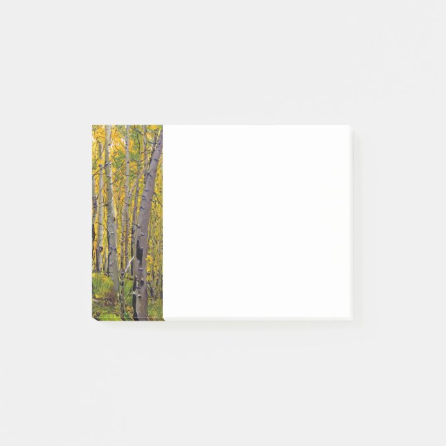 Aspen Bäume im Wald Post-it Klebezettel (Vorderseite)