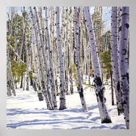 Aspen Bäume im Wald Poster