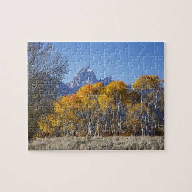 Aspen Bäume mit dem Teton-Gebirge (Horizontal)