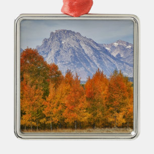 Aspen Bäume mit dem Teton-Gebirge Silbernes Ornament