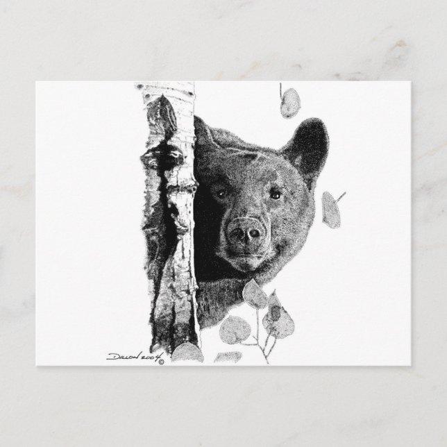 Aspen Bear Postkarte (Vorderseite)
