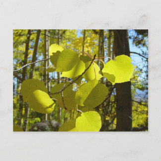 Aspen-Blatt-Postkarte Postkarte