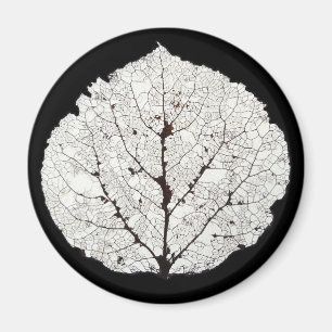 Aspen-Blatt-Skelett 1 Magnet