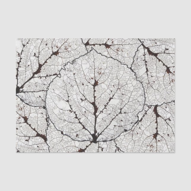 Aspen-Blatt-Skelett 1 Seidenpapier (Vorderseite)