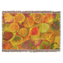 Aspen Blätter Collage Solid Medley 1