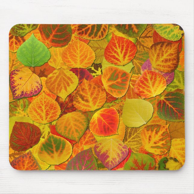 Aspen Blätter Collage Solid Medley 1 Mousepad (Vorne)