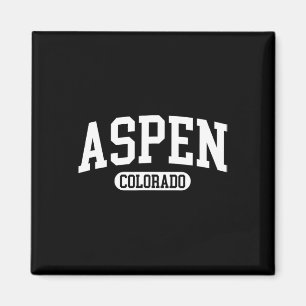 Aspen Colorado Winterski Geschenk Magnet