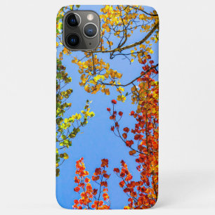 Aspen Colour Candy // Fall Leaf Farben Case-Mate iPhone Hülle