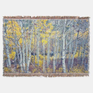 Aspen Forest Decke