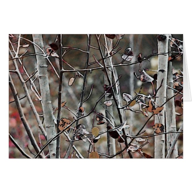 Aspen Forest Ende Herbst (Vorderseite (Horizontal))