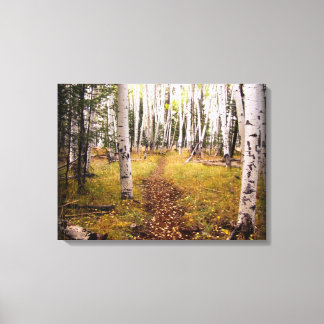 Aspen Forest im Herbst Leinwanddruck