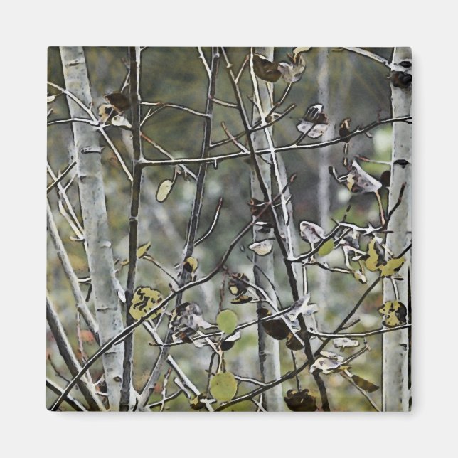 Aspen Forest Magnet (Vorne)