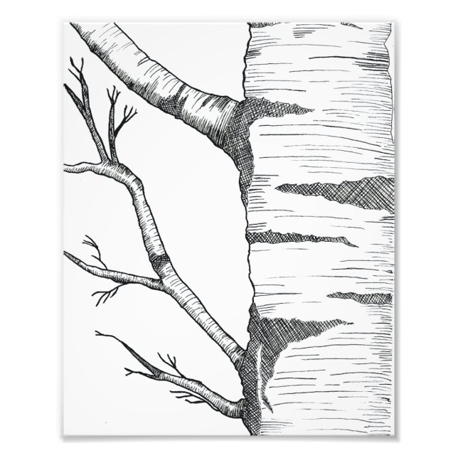 Aspen  fotodruck (Vorne)