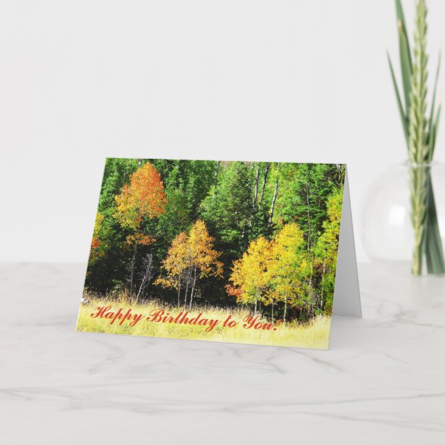 Aspen-Geburtstags-Karte Karte (Vorderseite)