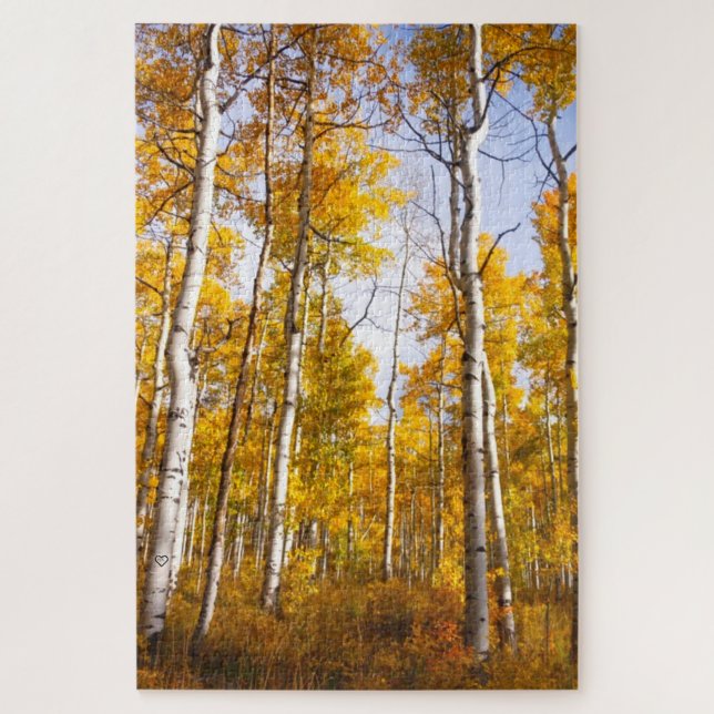 Aspen Groove Gelb Herbstlaub (Vertikal)