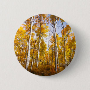 Aspen Groove Yellow Herbstlaube Button