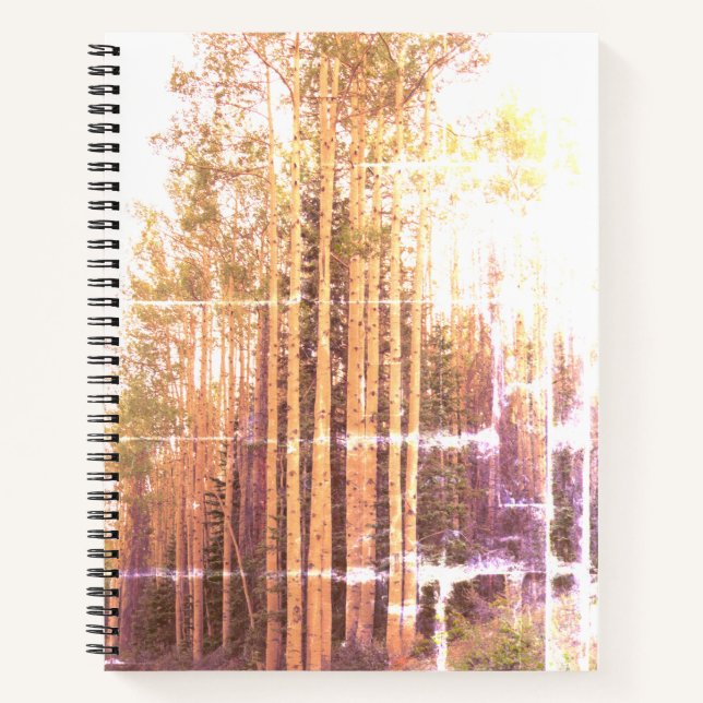 Aspen Grove Notizbuch (Vorderseite)