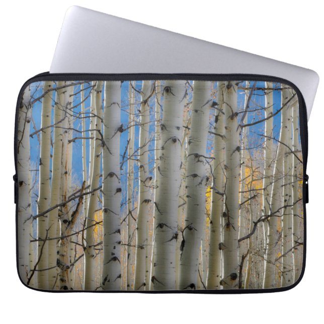Aspen Groves | Colorado Rocky Mountains Laptopschutzhülle (Vorderseite)