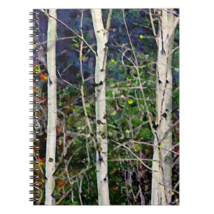 Aspen Impressionen Notizblock