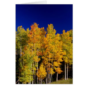 Aspen-Karte