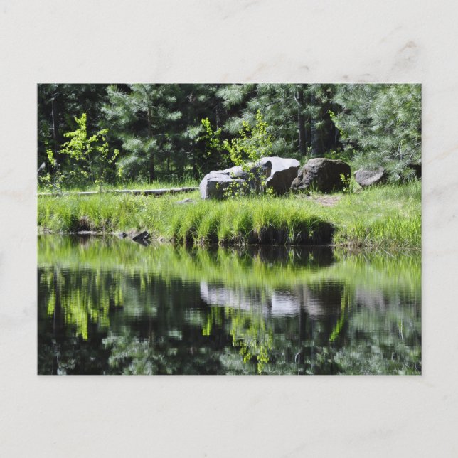 Aspen Lake Postkarte (Vorderseite)