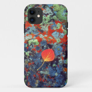 Aspen-Laub auf einem lichenbedeckten Felsen iPhone 11 Hülle