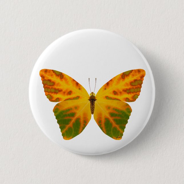Aspen Leaf Butterfly 1 Button (Vorderseite)