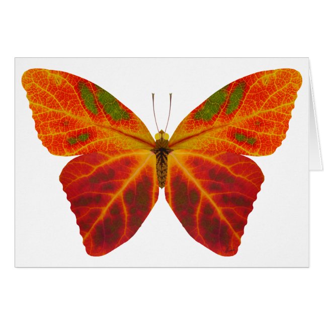 Aspen Leaf Butterfly 2 (Vorderseite (Horizontal))